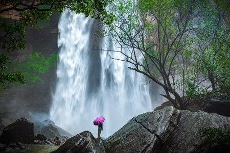 Scenic Waterfal and its flora surrounding at Amargarh in monsoon season near bhopal, madhya pradesh,...