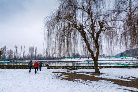 A view of botanical garden with lake in winter season, and the beautiful mountain range in the background in the city of Srinagar, Kashmir, Indiaの写真素材
