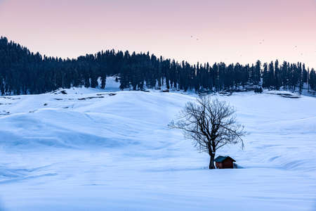 Winter season, Gulmarg is a town, a hill station, a popular tourist & skiing destination, Kashmir,...