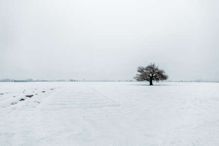 Snow-filled farm villages and rivers on the way from Srinagar to Sonmarg and Gulmargの写真素材