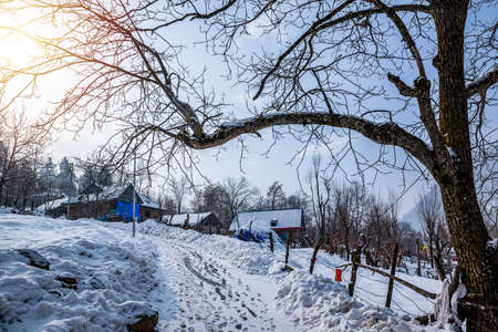 Beautiful view of pahalgam valley, Pahalgam, Kashmir, Indiaの写真素材