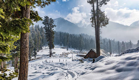 Beautiful view of pahalgam valley, Pahalgam, Kashmir, Indiaの素材 [FY310170433354]