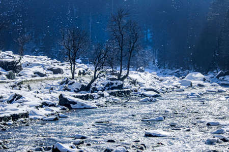 Beautiful view of sonmarg in winter, Snow covered Himalayan Mountains with pine trees and river,...