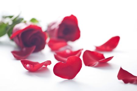 heart shape rose petal for valentineの写真素材