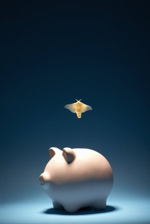 Moth flying out of piggy bankの写真素材