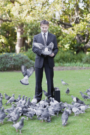 Businessman feeding pigeons in parkの写真素材