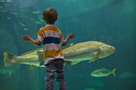 Boy admiring fish in aquariumの写真素材