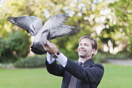Businessman feeding pigeons in parkの写真素材