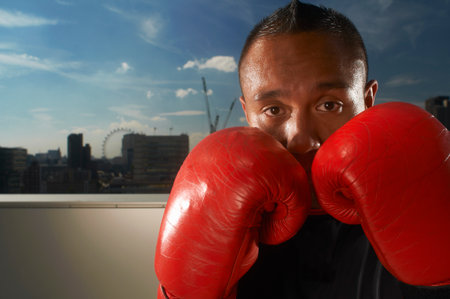 Boxer standing on urban rooftopの写真素材