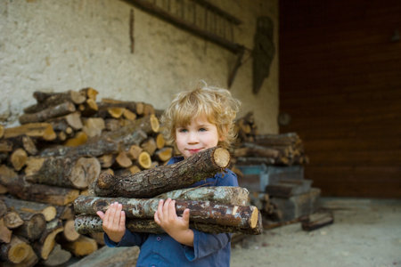 A boy carrying logsの写真素材