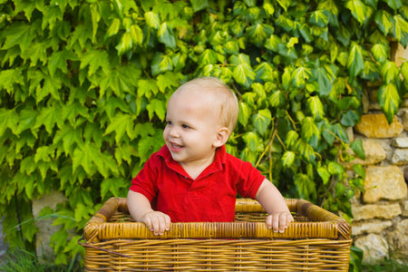 A baby boy in a wickerwork basketの写真素材