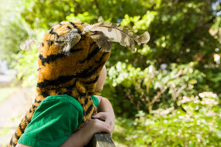 Boy dressed up as tigerの写真素材