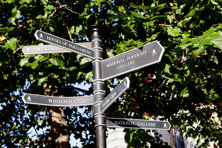 London signpostの写真素材