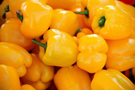 Yellow peppersの写真素材