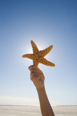 Boy holding starfish against sky,(Close up of hand)の写真素材