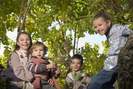 Group of kids on a treeの写真素材