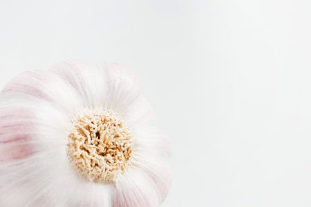 One clove of garlicの写真素材