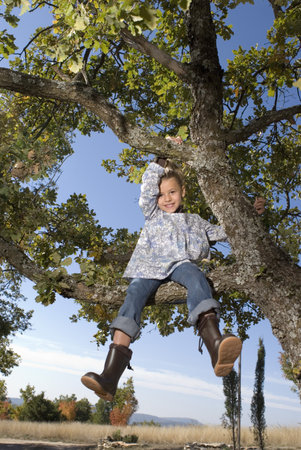 Young girl climbing in a tree smilingの写真素材