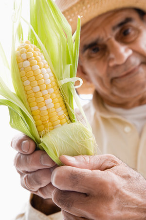 Man holding a corn on the cobの写真素材