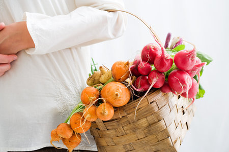 Woman holding basket of beetroot and radishesの写真素材