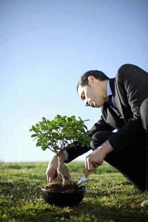 Business man nurturing bonsai outdoorsの写真素材