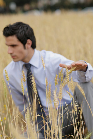 Business man in wheat fieldの写真素材