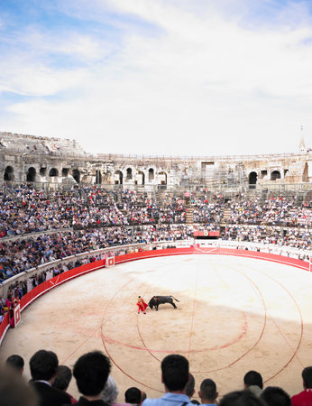 bull fight in arenaの写真素材