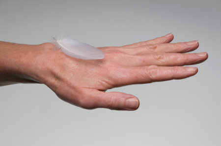 Female hand with featherの写真素材