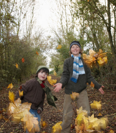 Boys throwing autumn leavesの写真素材