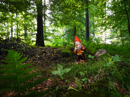 A Garden gnome in the woodsの写真素材