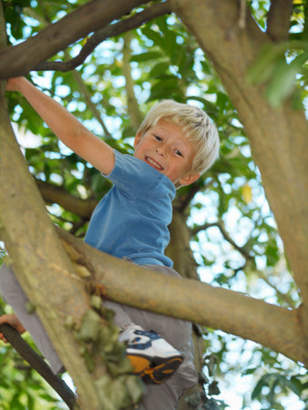 Boy, 7 playing in treeの写真素材
