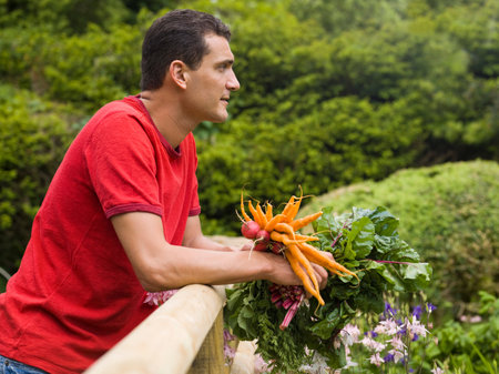 Man in garden with vegetable cropsの写真素材