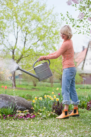 woman watering garden flowersの写真素材