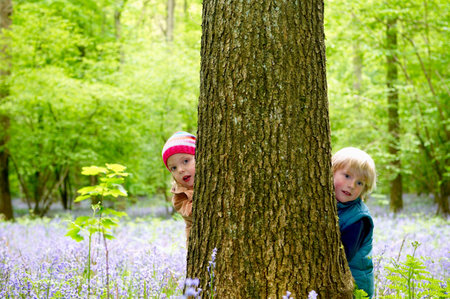Kids hiding behind a treeの写真素材