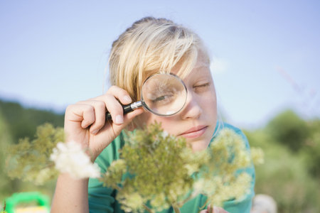 girl examines a flowerの写真素材