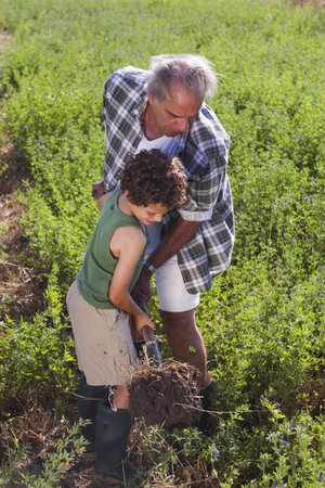 Grandfather and grandson diggingの写真素材