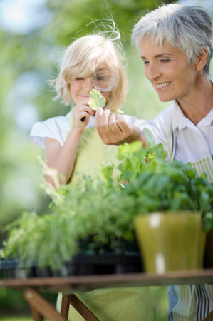 little girl examines something carefullyの写真素材