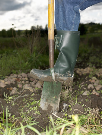 Foot on shovelの写真素材