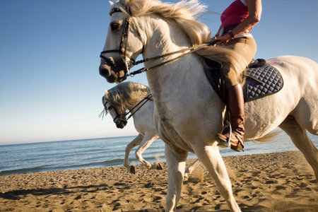 Two women riding horses on beachの写真素材