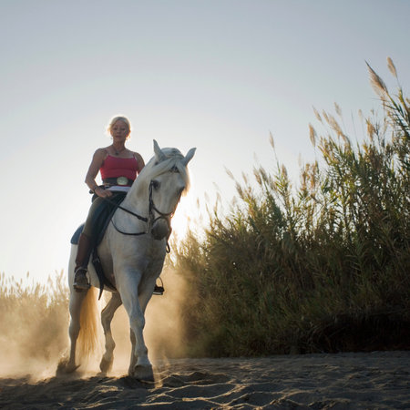 Woman riding horse on the beachの写真素材