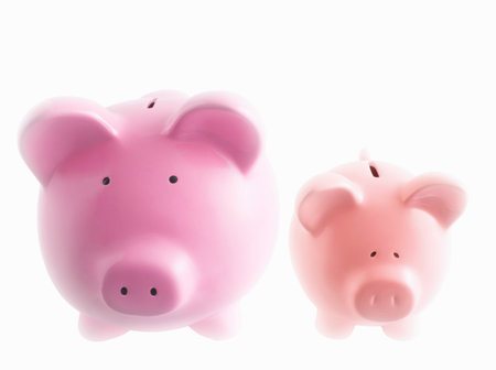 Piggy banks on whiteの写真素材