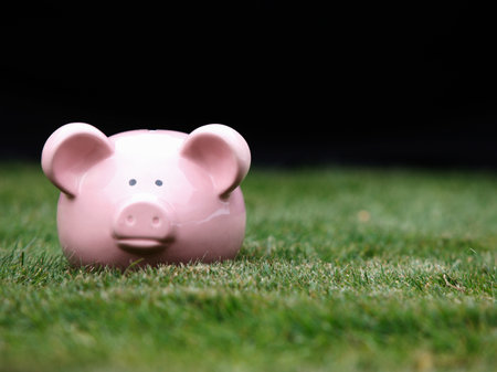 Piggy bank on grassの写真素材