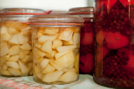 Preserved fruitsの写真素材