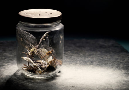 Insects in jarの写真素材