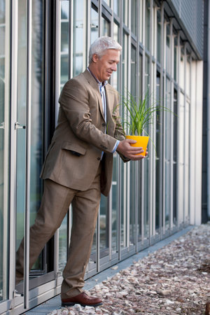 Putting a plant into the sunlightの写真素材