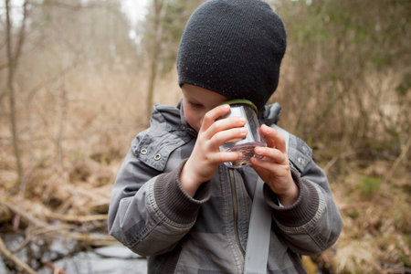 Boy examining something in a glassの写真素材