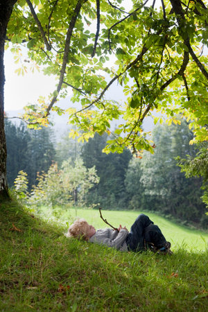 Boy playing with a limb under a treeの写真素材