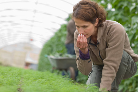 Farming vegetables and fruitsの写真素材