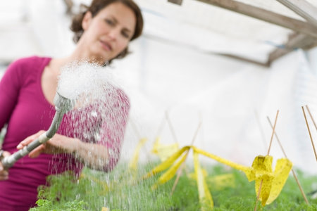 Farming vegetables and fruitsの写真素材