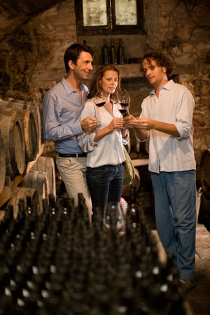 Man explains wine to coupleの写真素材